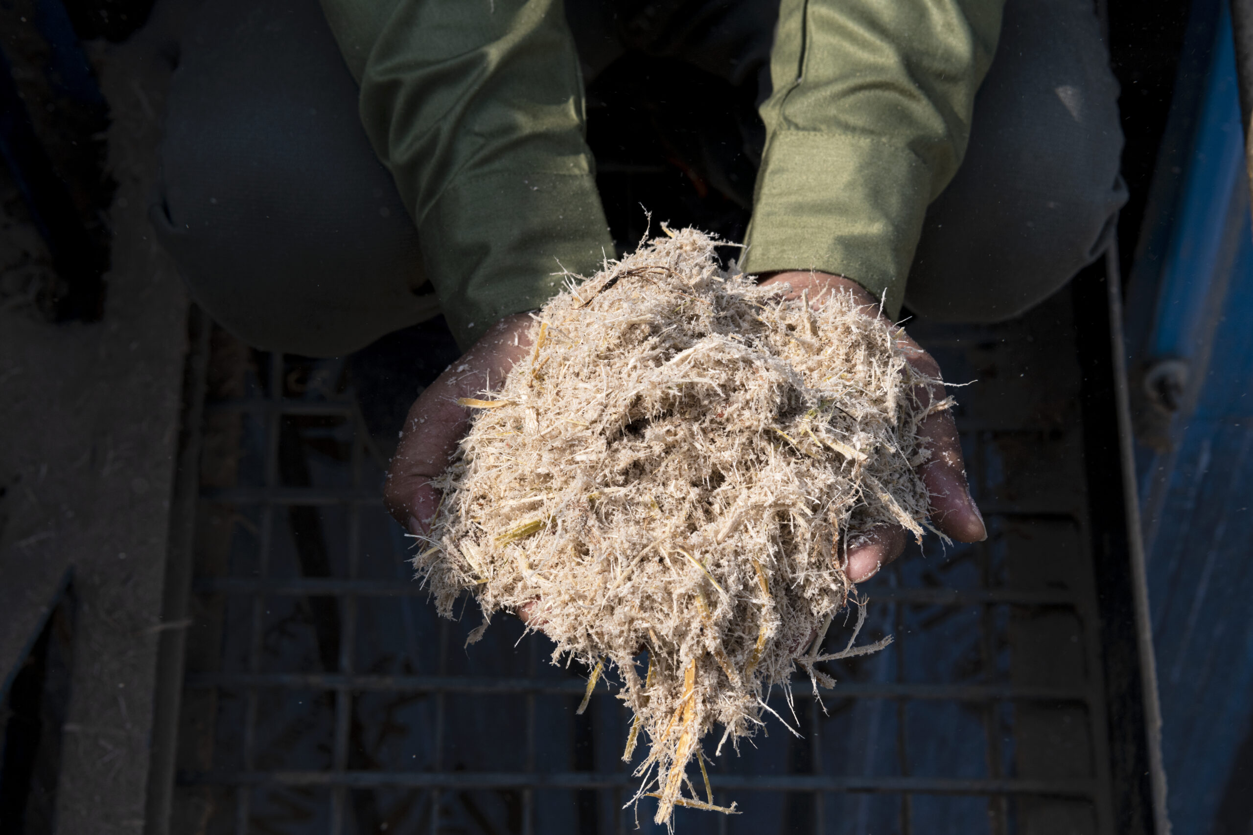 Why Packaging Converters Are Switching to Bagasse-Based Substrates: Technical Fit, Economics, and Regulatory Drivers