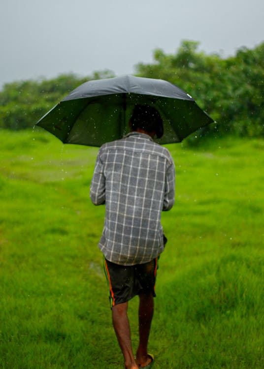 Monsoon-Proofing Tea Pouches: MVTR Benchmarks and Material Selection for India’s Humidity Challenge