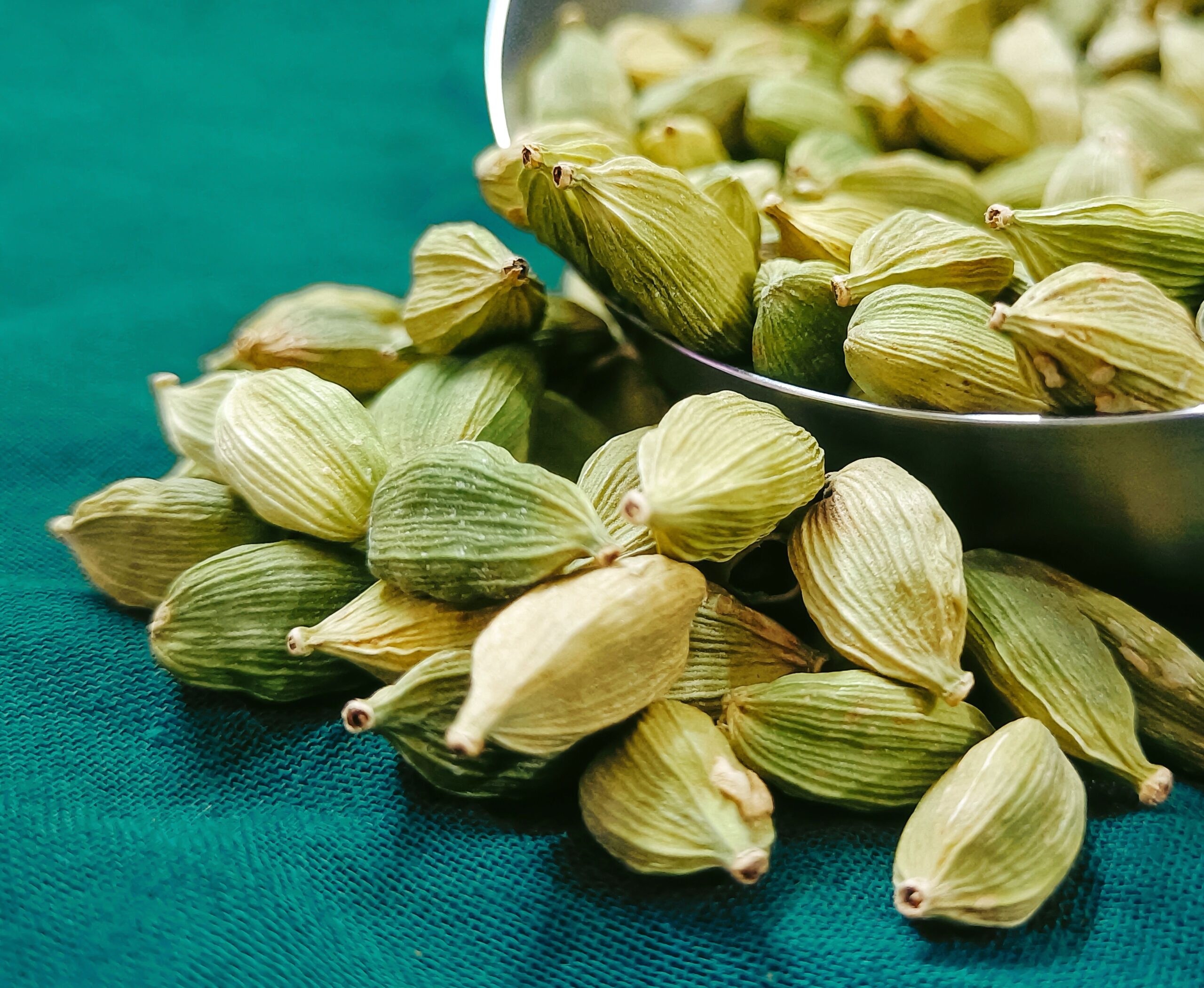 Fresh green cardamom (elaichi) pods, an aroma and oil-rich mouth freshener ingredient