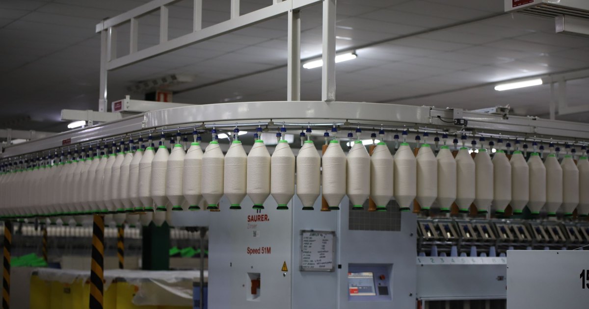 Paper Bag Machine Compatibility: Matching Your Substrate to Your Converting Line (W-Cut, D-Cut, and Flat Handle)