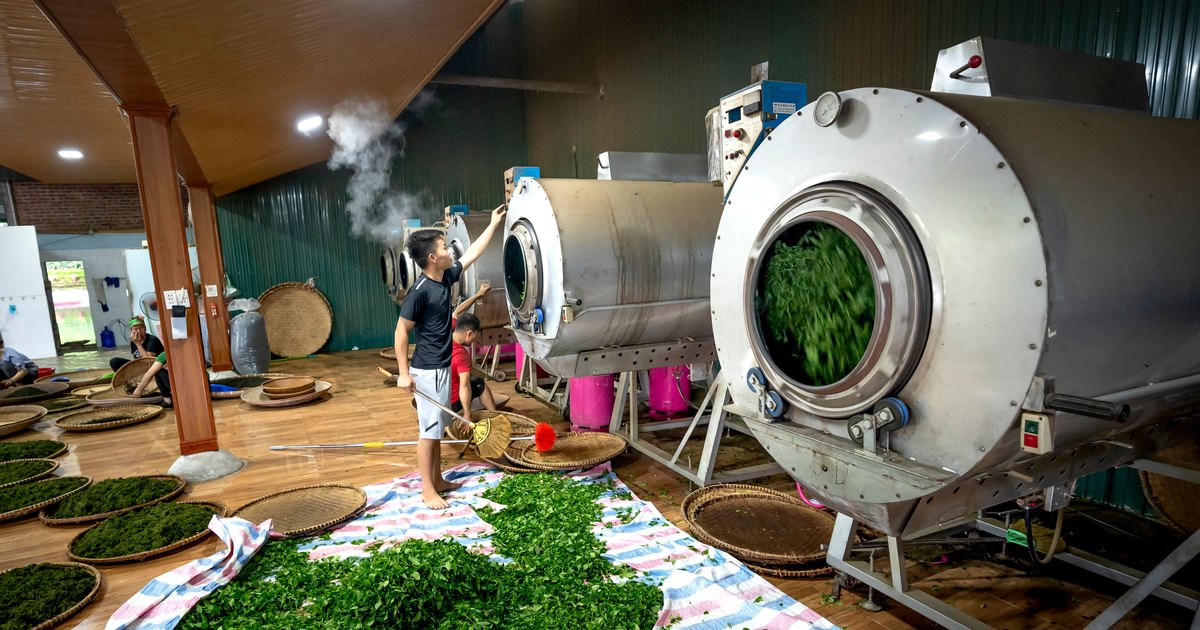 The Real Cost of Switching from Plastic Laminate to Paper-Based Tea Packaging: A Line-by-Line Breakdown