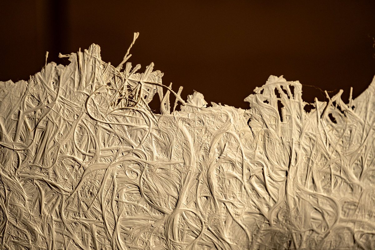 Macro view of a torn paper edge showing the cellulose fibre network that sets porosity and air permeability