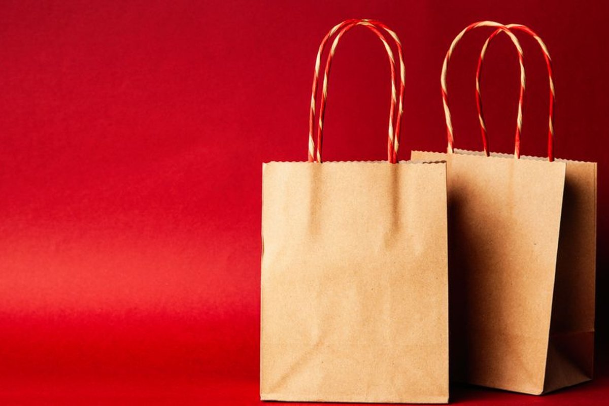Two brown kraft paper carry bags with twisted paper handles