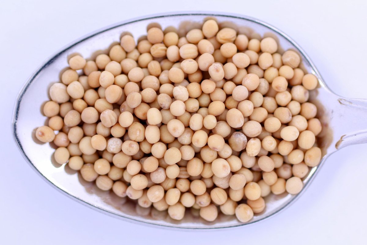 Close-up of round pale mustard seeds heaped in a steel spoon on a white background